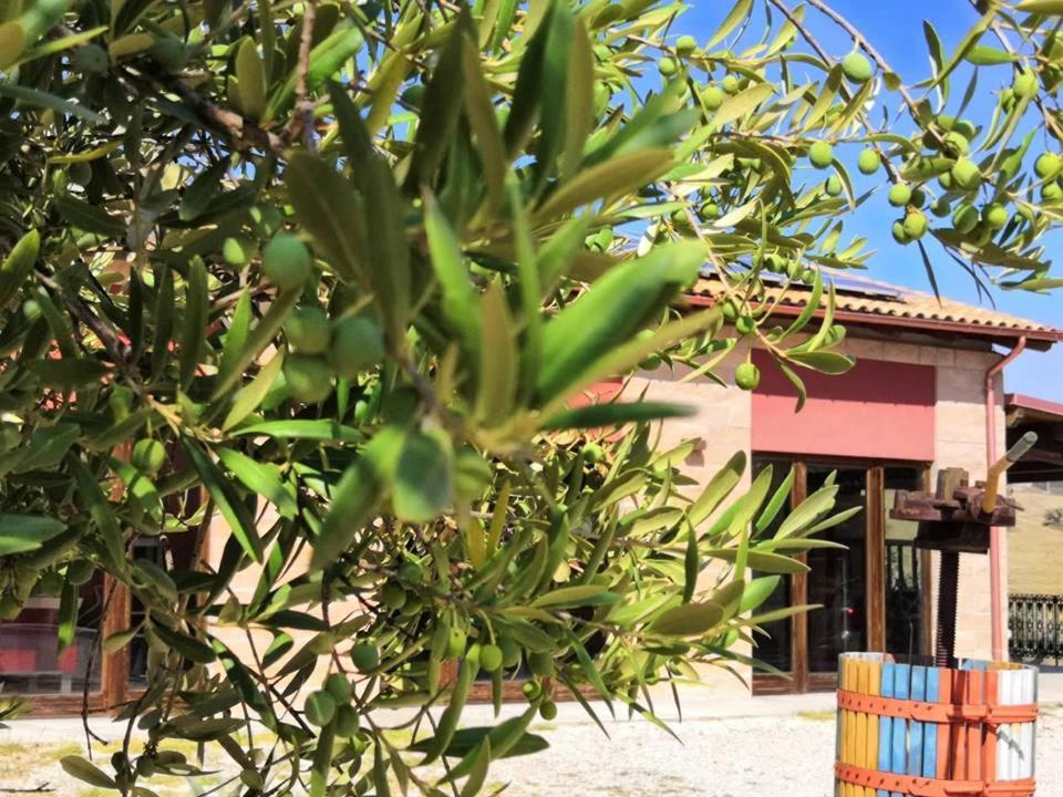 Country House Torrenera Morro dʼOro Buitenkant foto